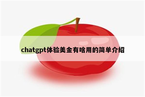 chatgpt体验美金有啥用的简单介绍