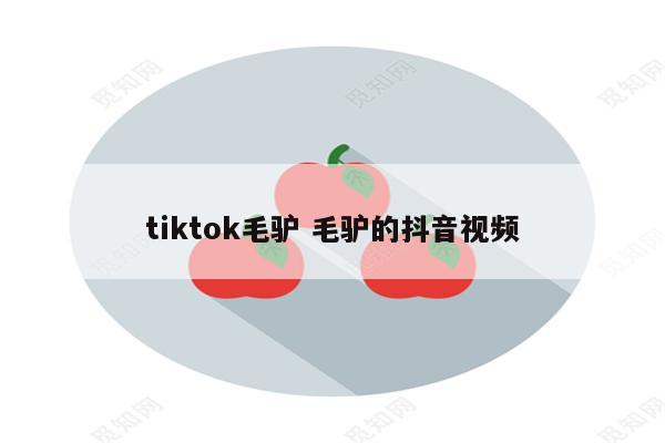 tiktok毛驴 毛驴的抖音视频