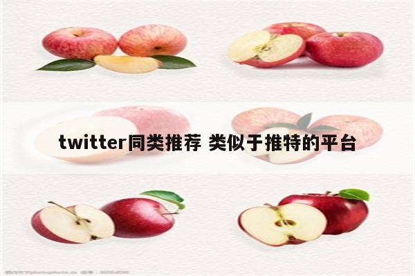 twitter同类推荐 类似于推特的平台