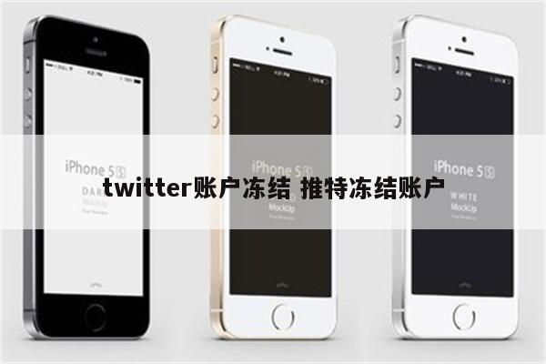 twitter账户冻结 推特冻结账户