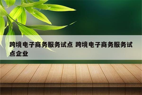 跨境电子商务服务试点 跨境电子商务服务试点企业