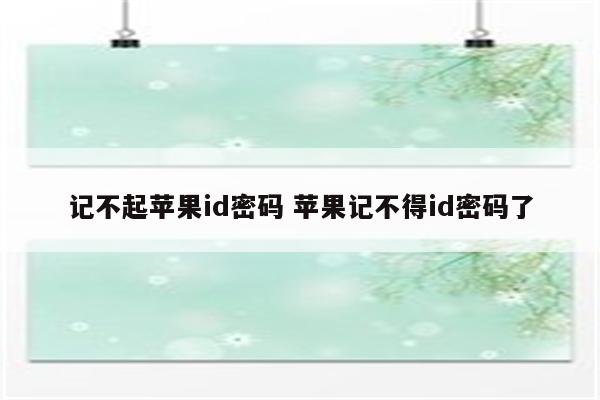 记不起苹果id密码 苹果记不得id密码了