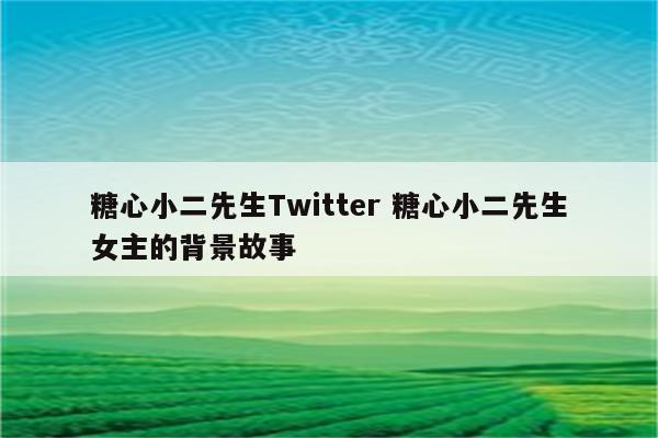 糖心小二先生Twitter 糖心小二先生女主的背景故事