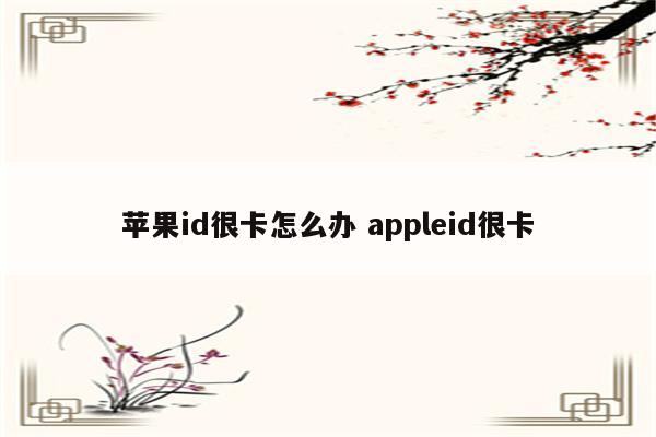 苹果id很卡怎么办 appleid很卡