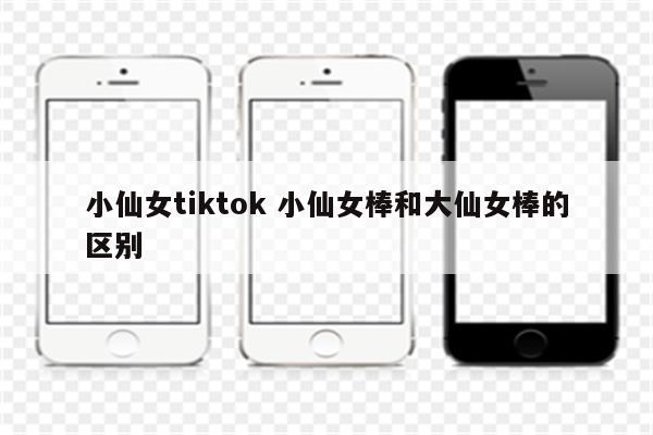 小仙女tiktok 小仙女棒和大仙女棒的区别