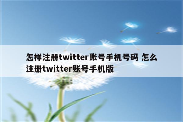 怎样注册twitter账号手机号码 怎么注册twitter账号手机版