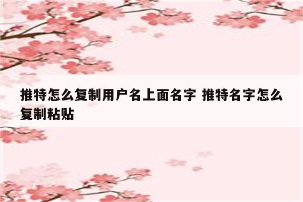 推特怎么复制用户名上面名字 推特名字怎么复制粘贴