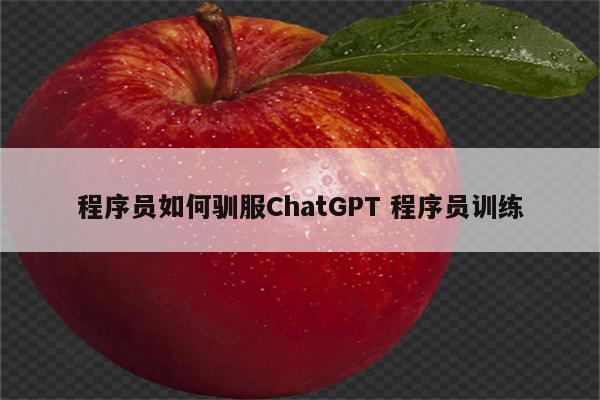 程序员如何驯服ChatGPT 程序员训练