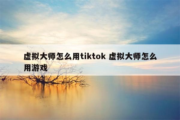 虚拟大师怎么用tiktok 虚拟大师怎么用游戏