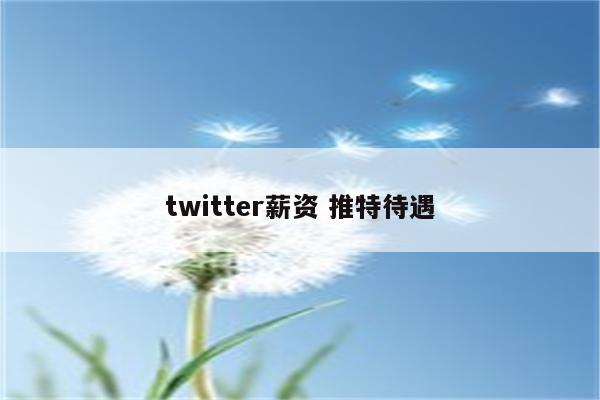 twitter薪资 推特待遇