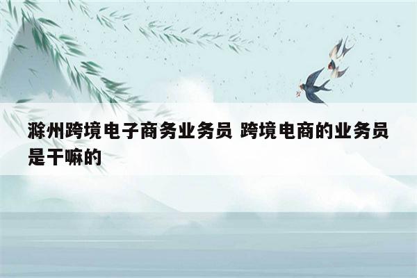 滁州跨境电子商务业务员 跨境电商的业务员是干嘛的