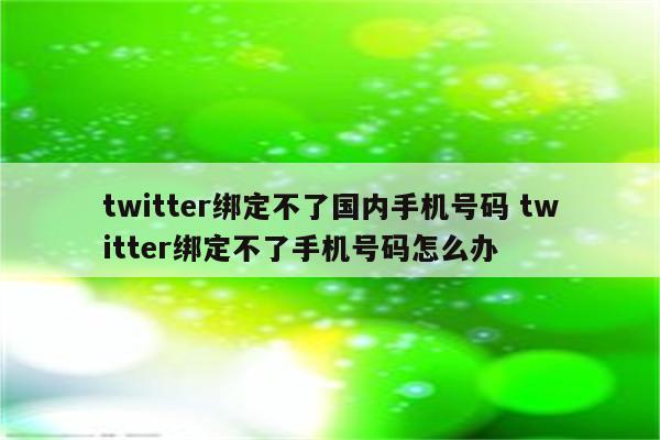 twitter绑定不了国内手机号码 twitter绑定不了手机号码怎么办