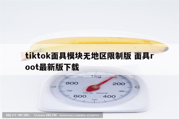 tiktok面具模块无地区限制版 面具root最新版下载