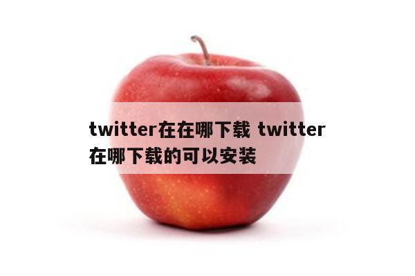 twitter在在哪下载 twitter在哪下载的可以安装