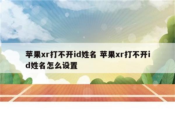 苹果xr打不开id姓名 苹果xr打不开id姓名怎么设置