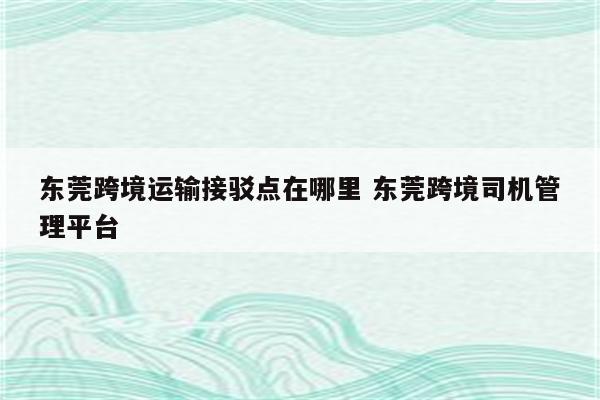 东莞跨境运输接驳点在哪里 东莞跨境司机管理平台