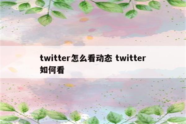 twitter怎么看动态 twitter如何看