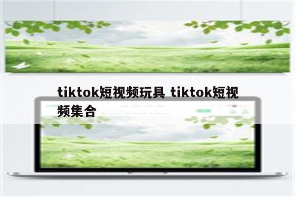 tiktok短视频玩具 tiktok短视频集合