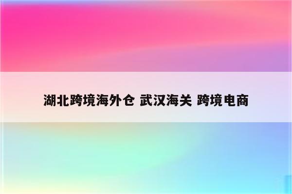 湖北跨境海外仓 武汉海关 跨境电商