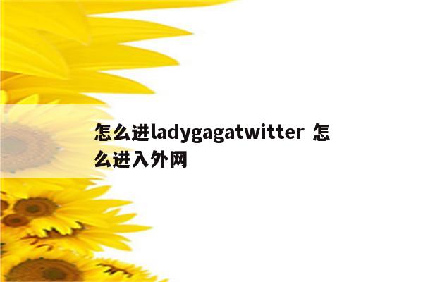 怎么进ladygagatwitter 怎么进入外网