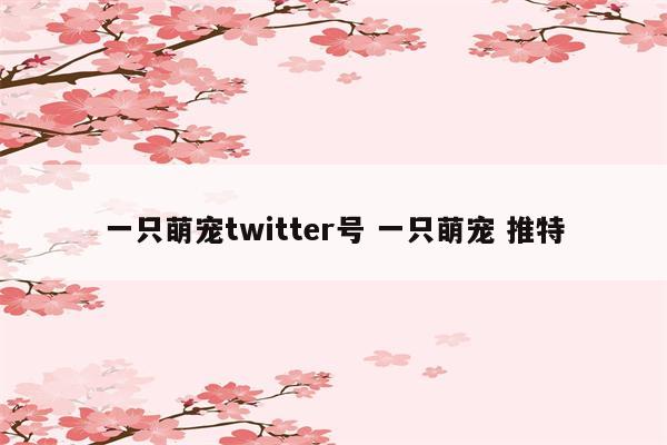 一只萌宠twitter号 一只萌宠 推特