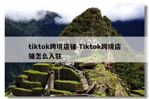 tiktok跨境店铺 TIktok跨境店铺怎么入驻