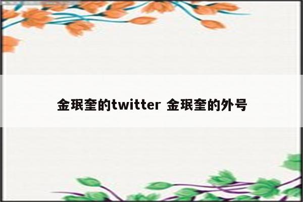 金珉奎的twitter 金珉奎的外号