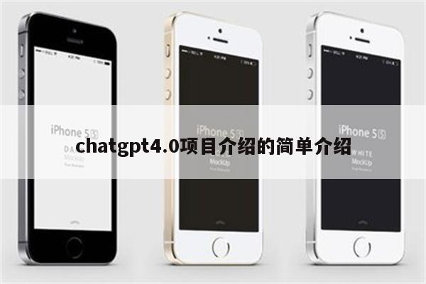 chatgpt4.0项目介绍的简单介绍