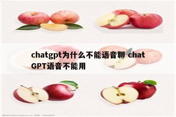 chatgpt为什么不能语音聊 chatGPT语音不能用