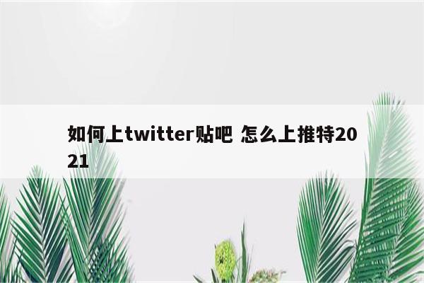 如何上twitter贴吧 怎么上推特2021