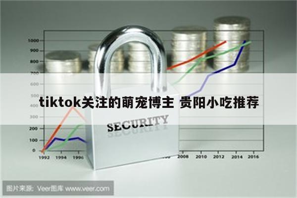 tiktok关注的萌宠博主 贵阳小吃推荐