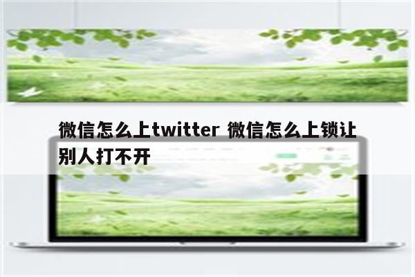 微信怎么上twitter 微信怎么上锁让别人打不开