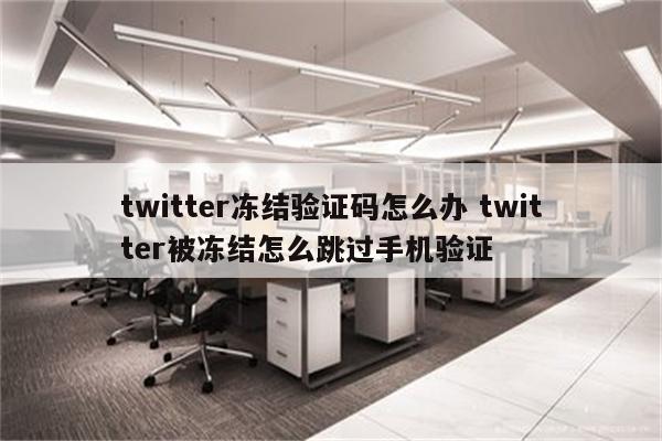 twitter冻结验证码怎么办 twitter被冻结怎么跳过手机验证