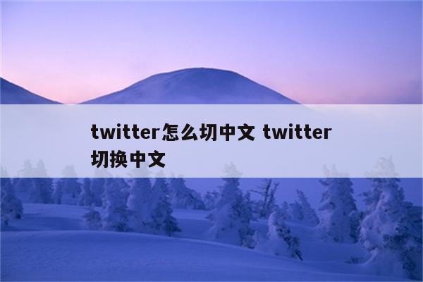 twitter怎么切中文 twitter切换中文