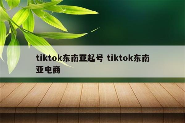 tiktok东南亚起号 tiktok东南亚电商