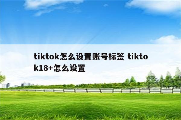 tiktok怎么设置账号标签 tiktok18+怎么设置