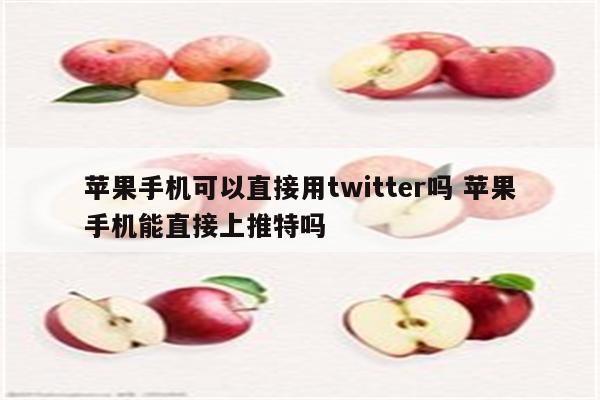 苹果手机可以直接用twitter吗 苹果手机能直接上推特吗