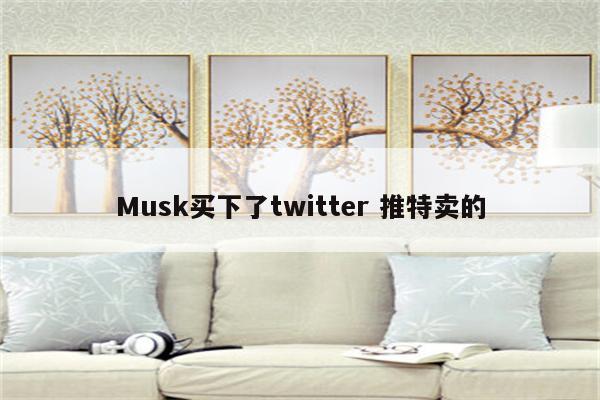 Musk买下了twitter 推特卖的