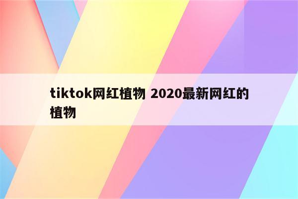 tiktok网红植物 2020最新网红的植物