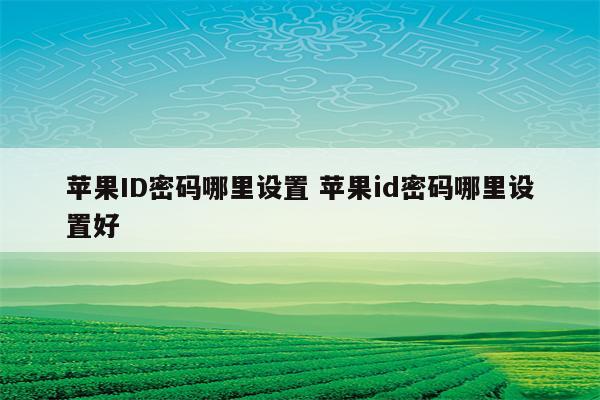 苹果ID密码哪里设置 苹果id密码哪里设置好