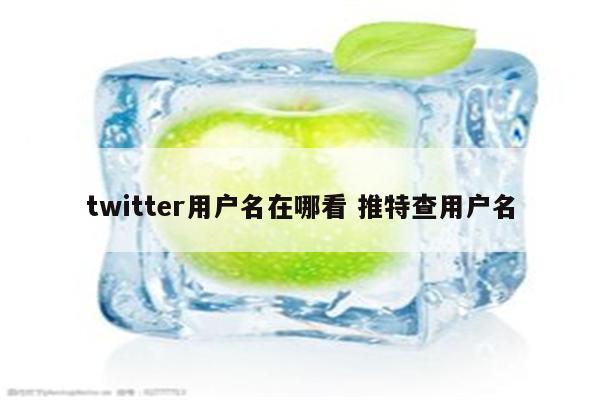 twitter用户名在哪看 推特查用户名