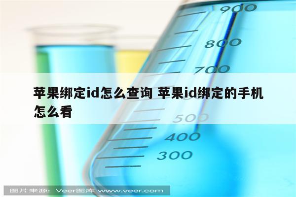 苹果绑定id怎么查询 苹果id绑定的手机怎么看