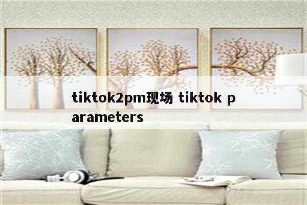 tiktok2pm现场 tiktok parameters