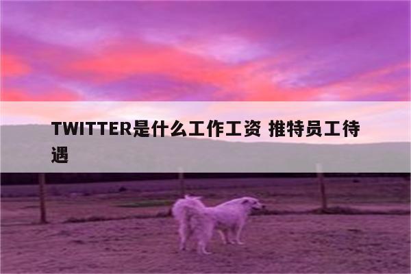 TWITTER是什么工作工资 推特员工待遇