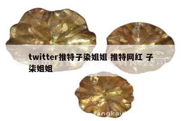 twitter推特子染姐姐 推特网红 子柒姐姐