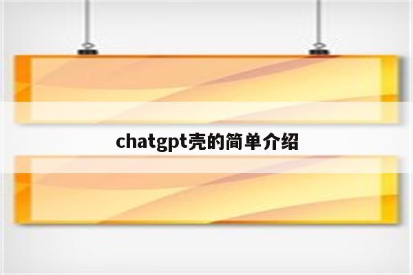 chatgpt壳的简单介绍