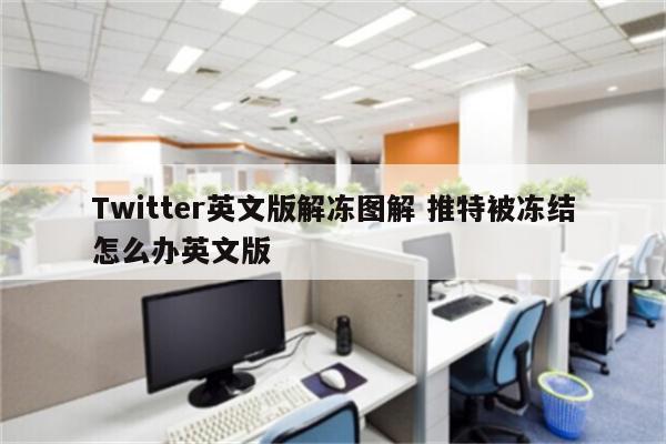 Twitter英文版解冻图解 推特被冻结怎么办英文版