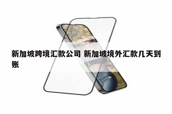 新加坡跨境汇款公司 新加坡境外汇款几天到账