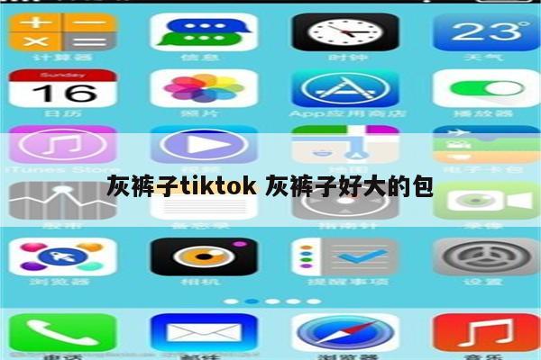 灰裤子tiktok 灰裤子好大的包