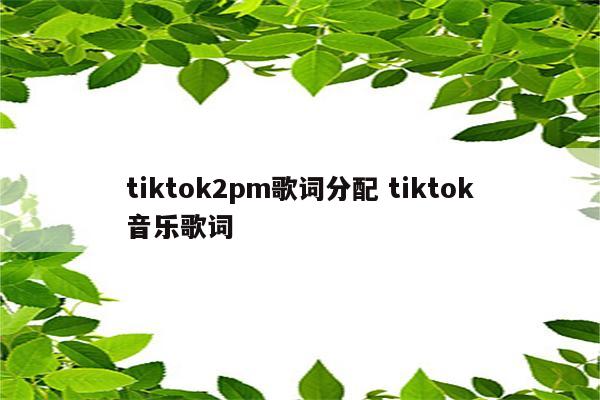 tiktok2pm歌词分配 tiktok音乐歌词